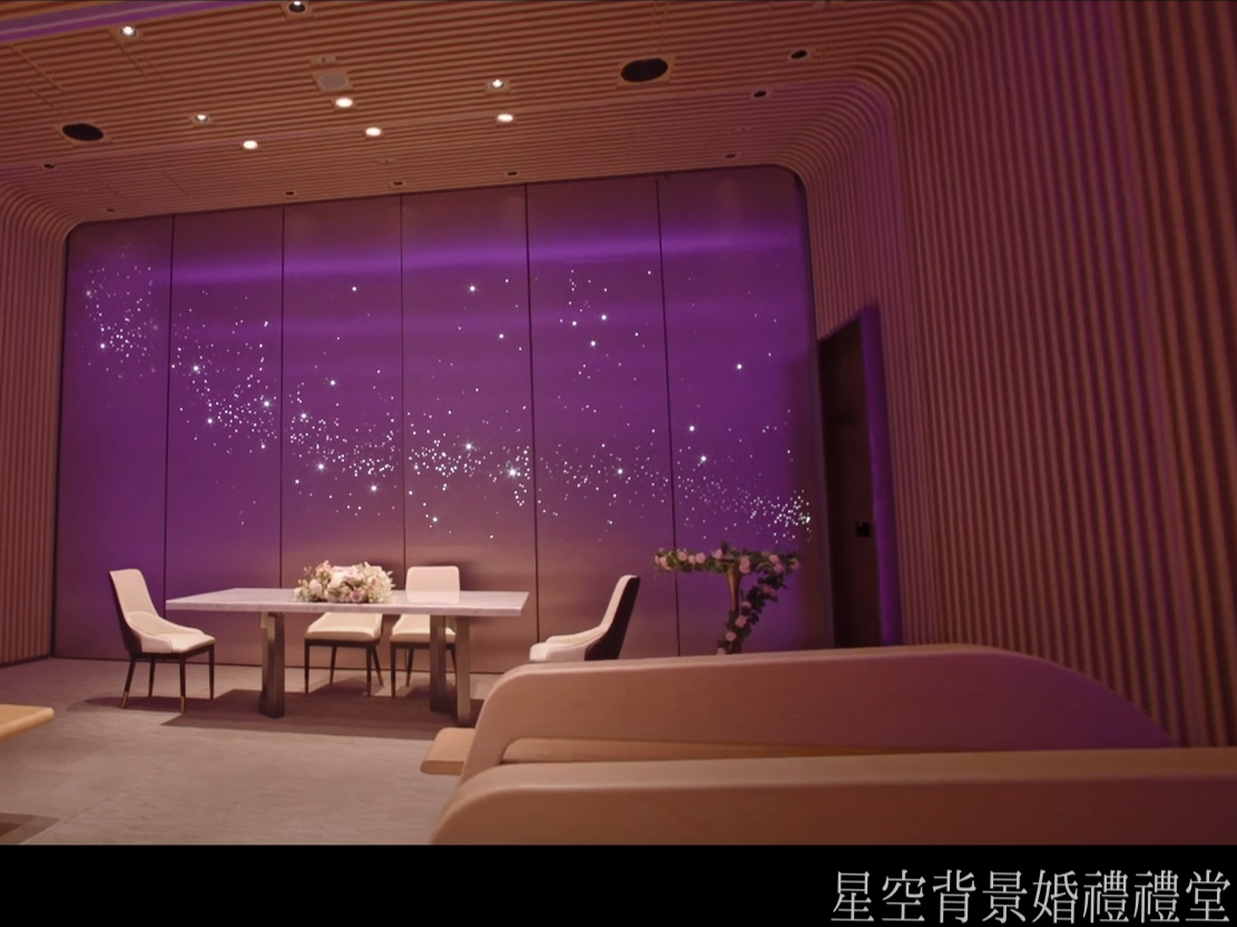 (入境處影片截圖)