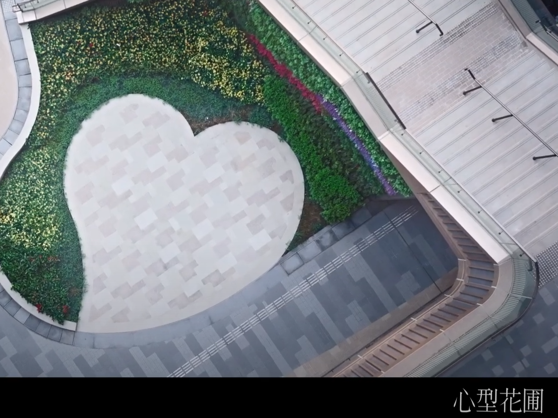 (入境處影片截圖)