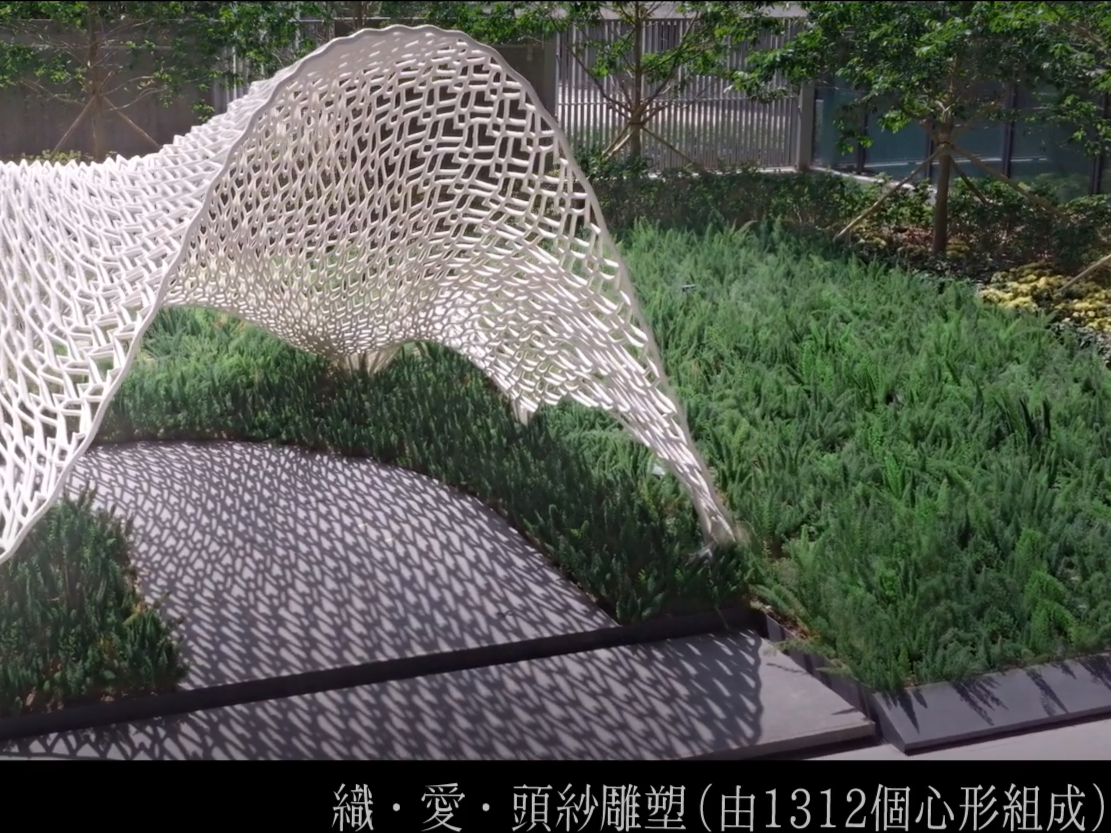 (入境處影片截圖)