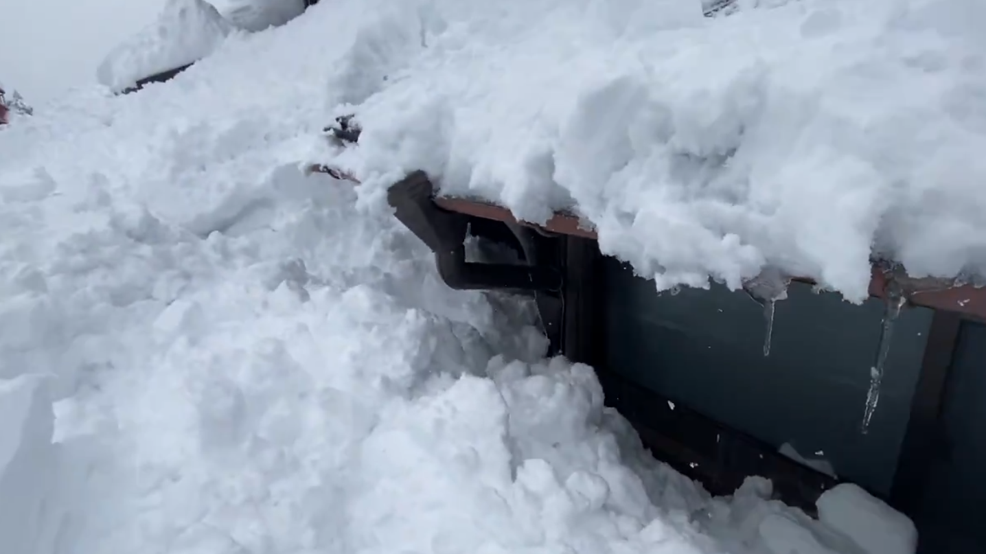 日本暴雪。(互聯網)