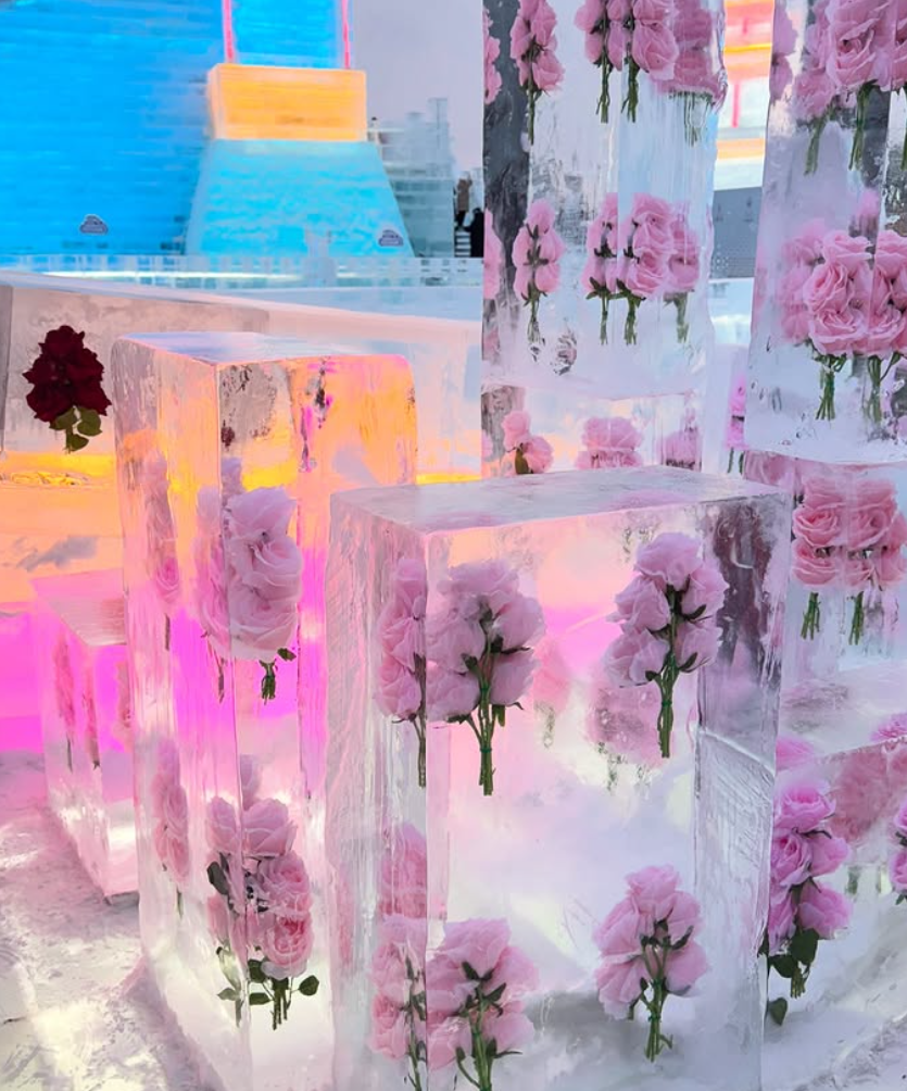 泰國女總理佩通坦於上周六(8日)結束訪華行程返回曼谷。大晒旅程多張自拍照片。亦有於車內、酒店浴室的自拍。她還分享前往哈爾濱亞冬會期間,與泰國代表團成員的合照,及吉祥物「濱濱」和「妮妮」掛件,並拍下許多哈爾濱冰雪美景。(IG)