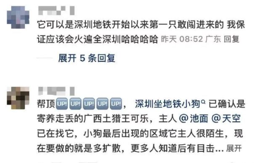 眾乘客紛拍下照片上傳到社交媒體,該小狗迅速在網絡走紅,「尋找深圳6號線狗狗」、「突破深圳地鐵的第一隻小狗」相關帖子迅速傳播,眾多網民自發加入尋狗隊伍。