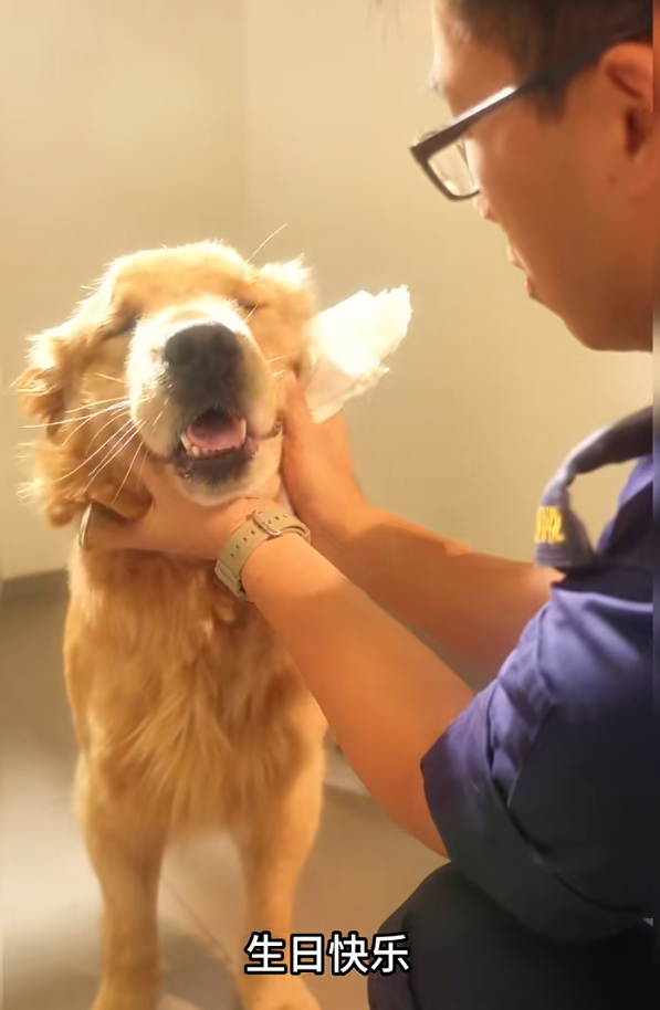 海關最終決定把牠留下,並取名為Alpha。(海關小紅書截圖)