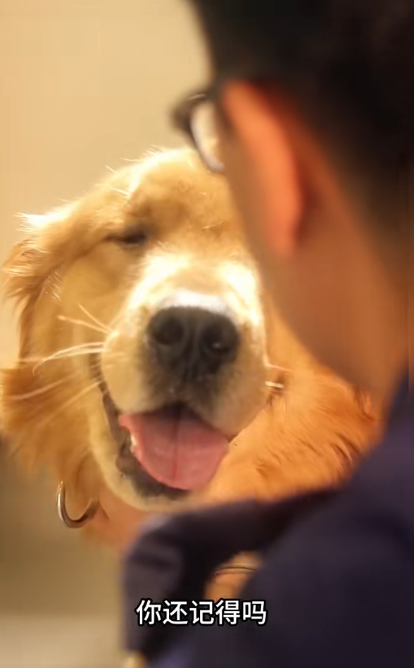 海關最終決定把牠留下,並取名為Alpha。(海關小紅書截圖)