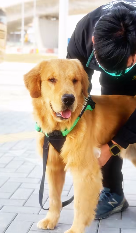 Alpha首次體檢中,醫生檢查出牠有白內障。(海關小紅書截圖)