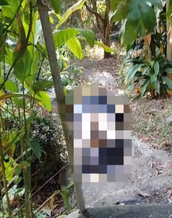 長洲信義村一個女人被發現伏屍菜田樓梯。(有線新聞畫面)