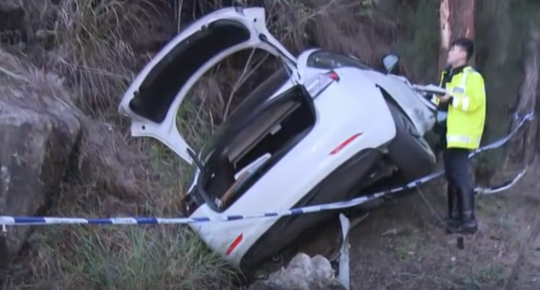 Tesla火炭自炒撞山 男司機「吹波」超標被捕