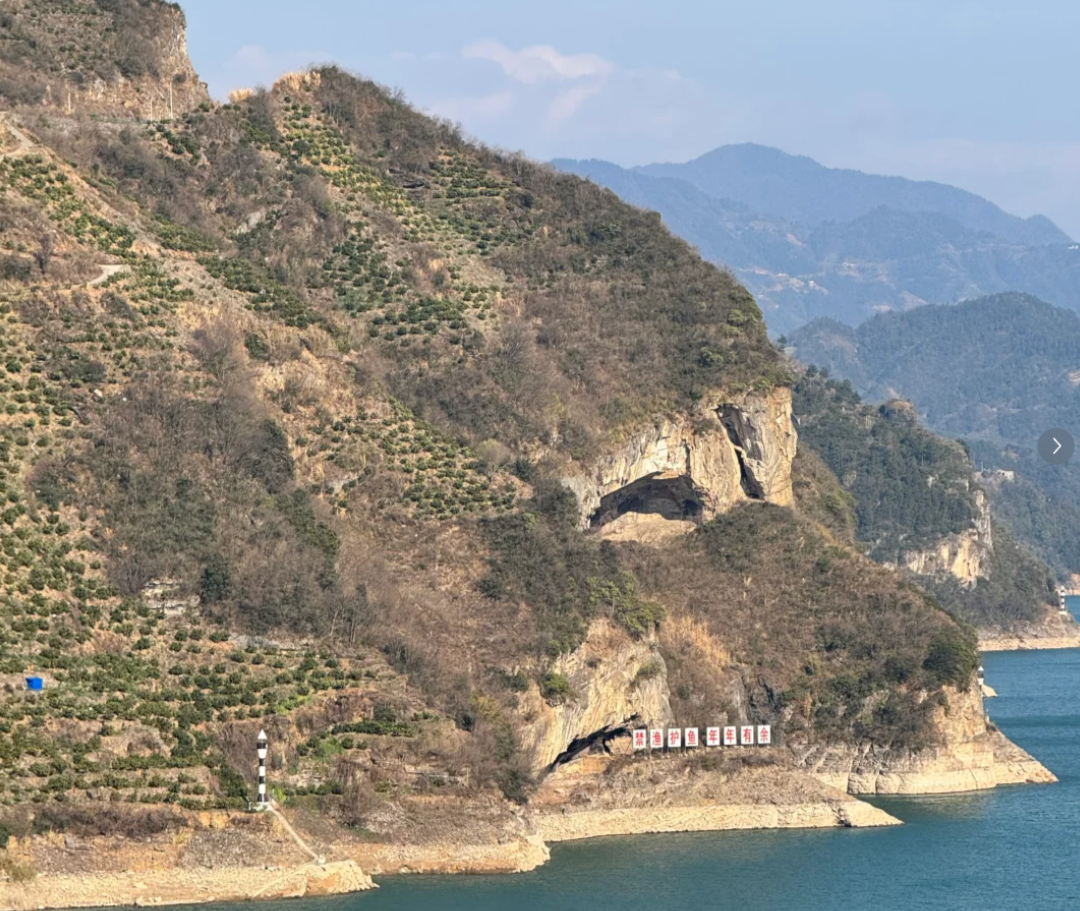 湖北宜昌有山脈外形酷似一隻小狗趴在江邊。照片令該山稱網民稱為「小狗山」和「狗仔山」,成為網紅景點,不少網民亦發布自家毛孩照片對比」。(小紅書)