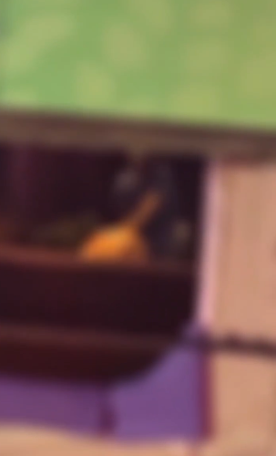 森巴舞綵排場館男女上演「活春宮」 揭有婦之夫包廂會情人(有片)