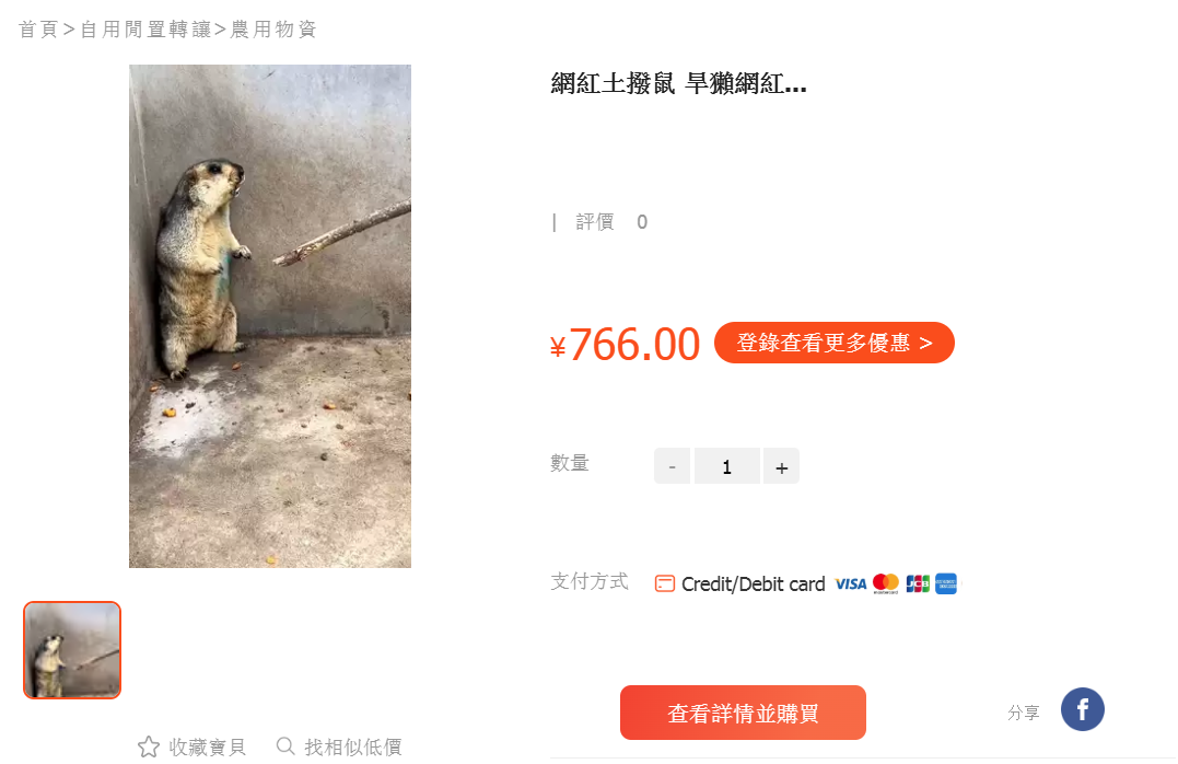 有商家在網上售賣土撥鼠。(互聯網)