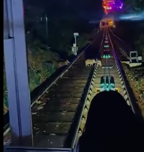 @fb車cam L(香港群組)影片截圖