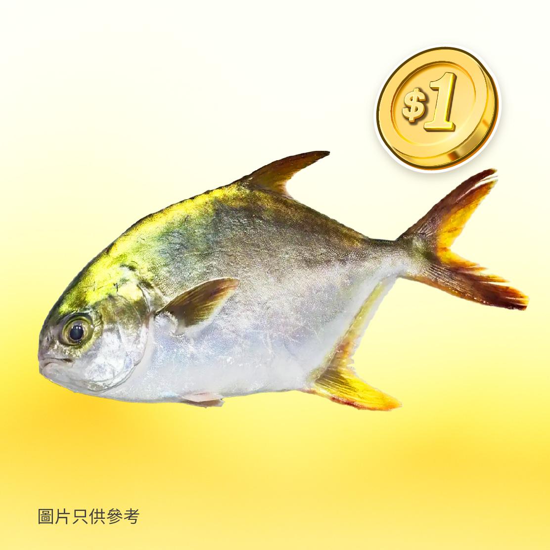 香港街市APP「$1唔只1隻雞」優惠|黃立倉(10-12兩)