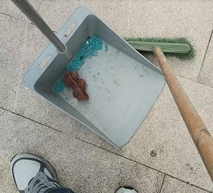 香港動物報:閉路電視揭男子將不明東西撒在花圃內。(FB/香港動物報)