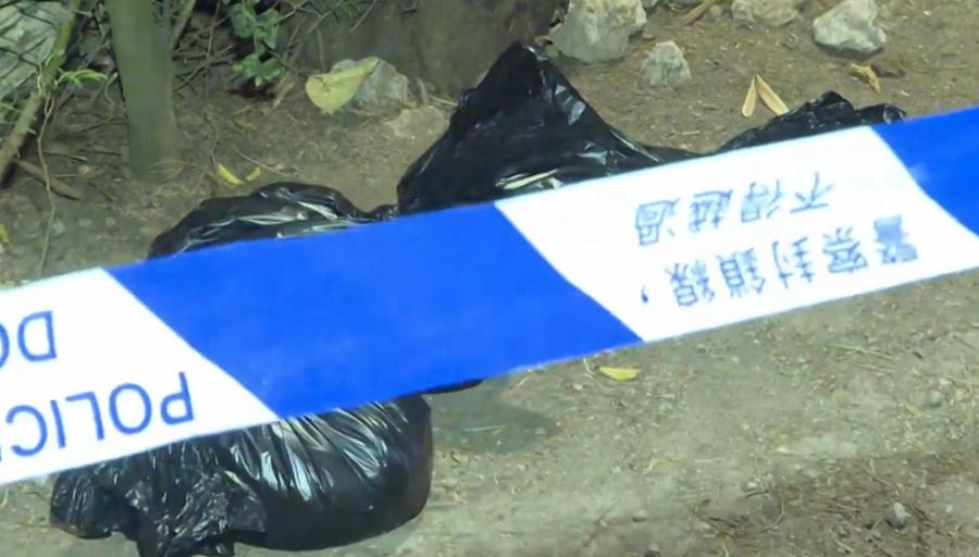 愛協職員把狗屍用黑色膠袋包裹,並將身體虛弱的幼犬帶返中心。(有線新聞截圖)