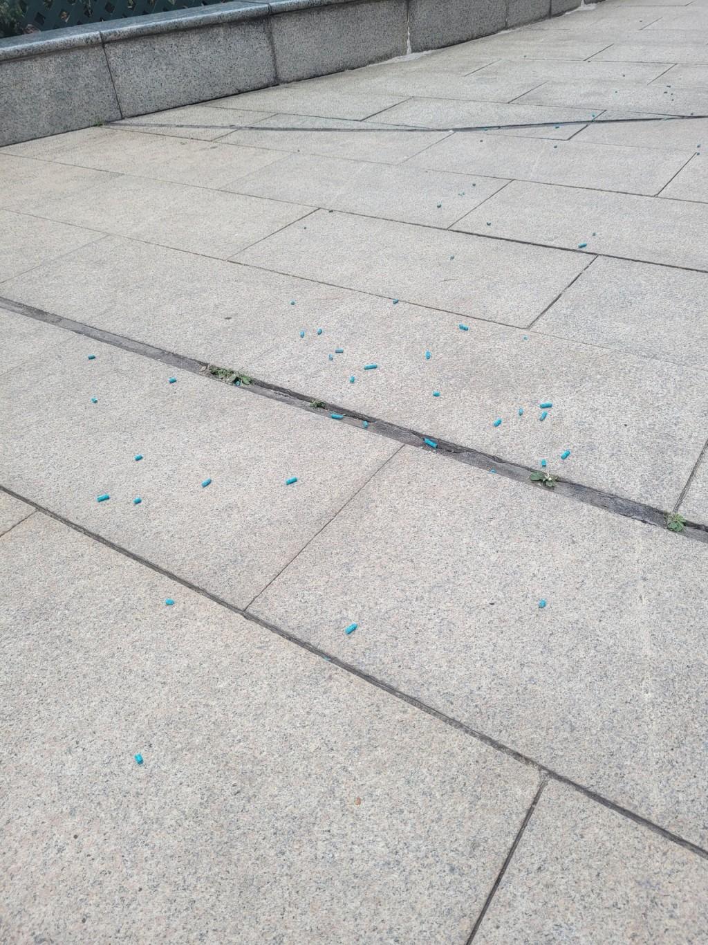 昨日在富榮花園和聚魚道公園一帶先後多次出現老鼠藥,並指有雀鳥懷疑誤服而死。(FB/香港松鼠狗俱樂部)