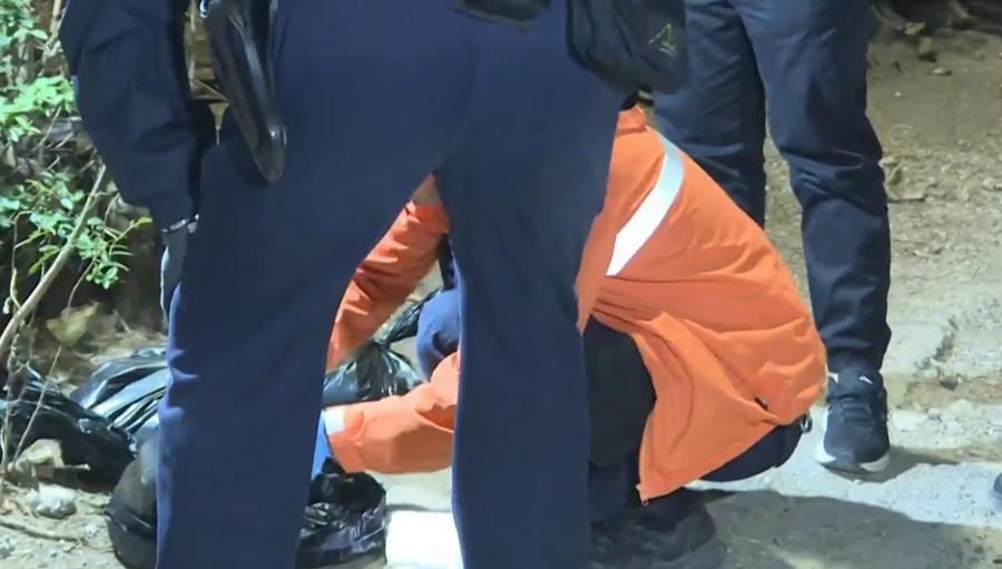 愛協職員把狗屍用黑色膠袋包裹,並將身體虛弱的幼犬帶返中心。(有線新聞截圖)