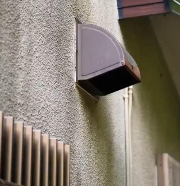 專門驅逐害獸的業者岩田指出,由於浣熊的手宛如人類手掌般靈巧,可以取下換氣扇進入民宅。(X)