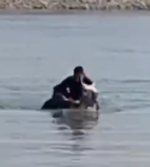 伊立拜一手拉著馬繩,另一手抓住墮江男子。(微博)