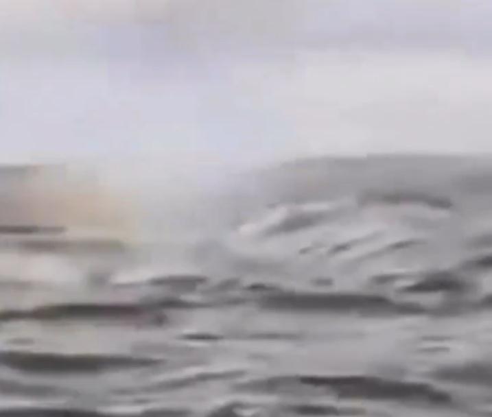 Adrián憶述說,被吞下前眼前只能看到一片深藍色和白色。(X)