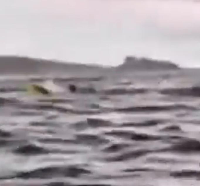 所幸3秒後Adrián又被鯨魚吐出。(X)