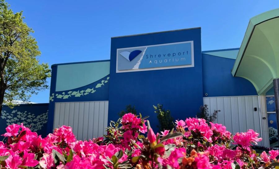 路易斯安那州的什里夫波特水族館(Shreveport Aquarium)。(網上圖片)