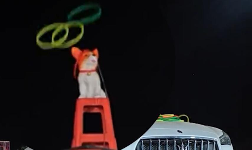 王先生僅中途喝了一瓶能量飲料,幾乎沒有休息,終於成功圈中。(微博)