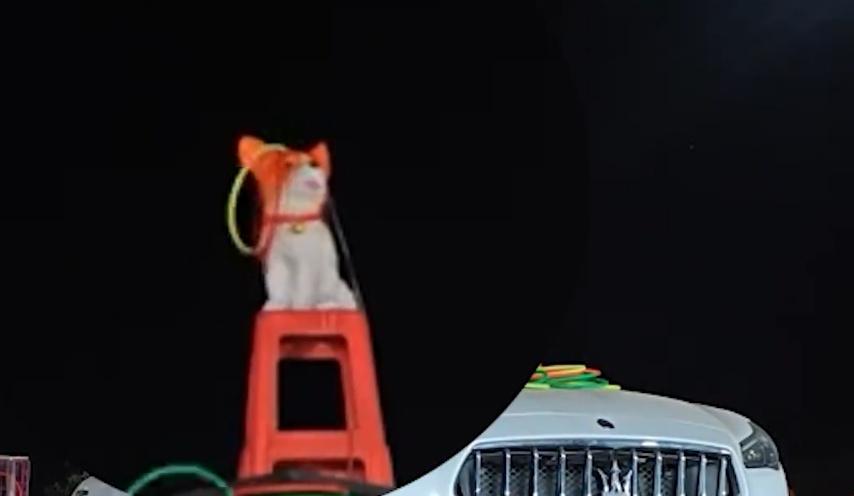 王先生僅中途喝了一瓶能量飲料,幾乎沒有休息,終於成功圈中。(微博)