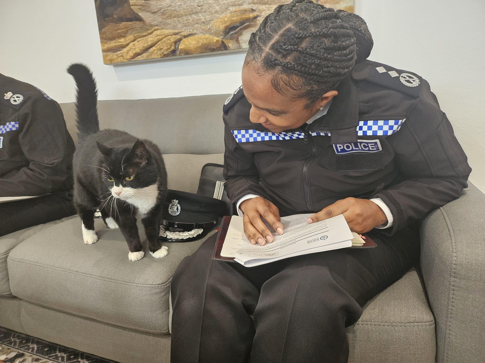 英國外交部表示,Palmerston只會出席牠覺得重要的活動,有需要時提供建議,當然不少得會小睡一會。(X)