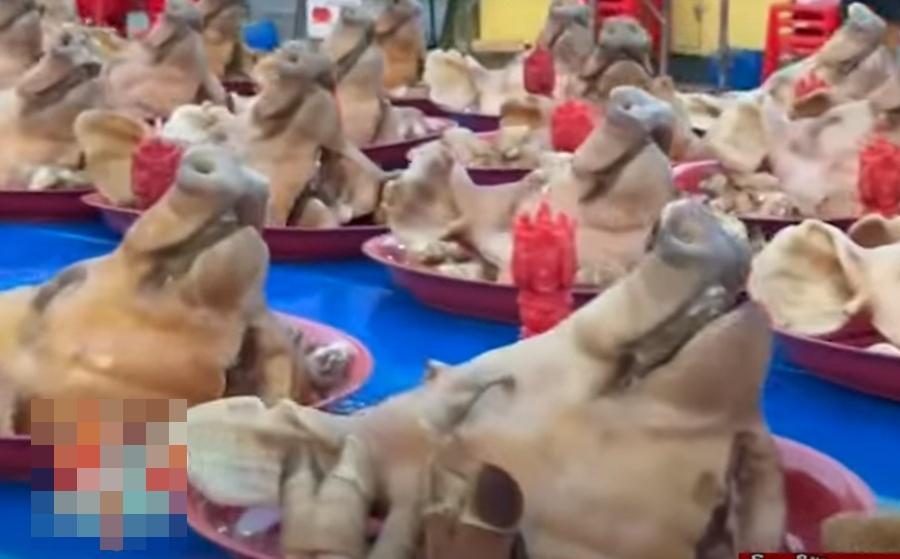 供品包括100隻豬頭、3,000支蠟燭、甜點和水果等還神。(YouTube)