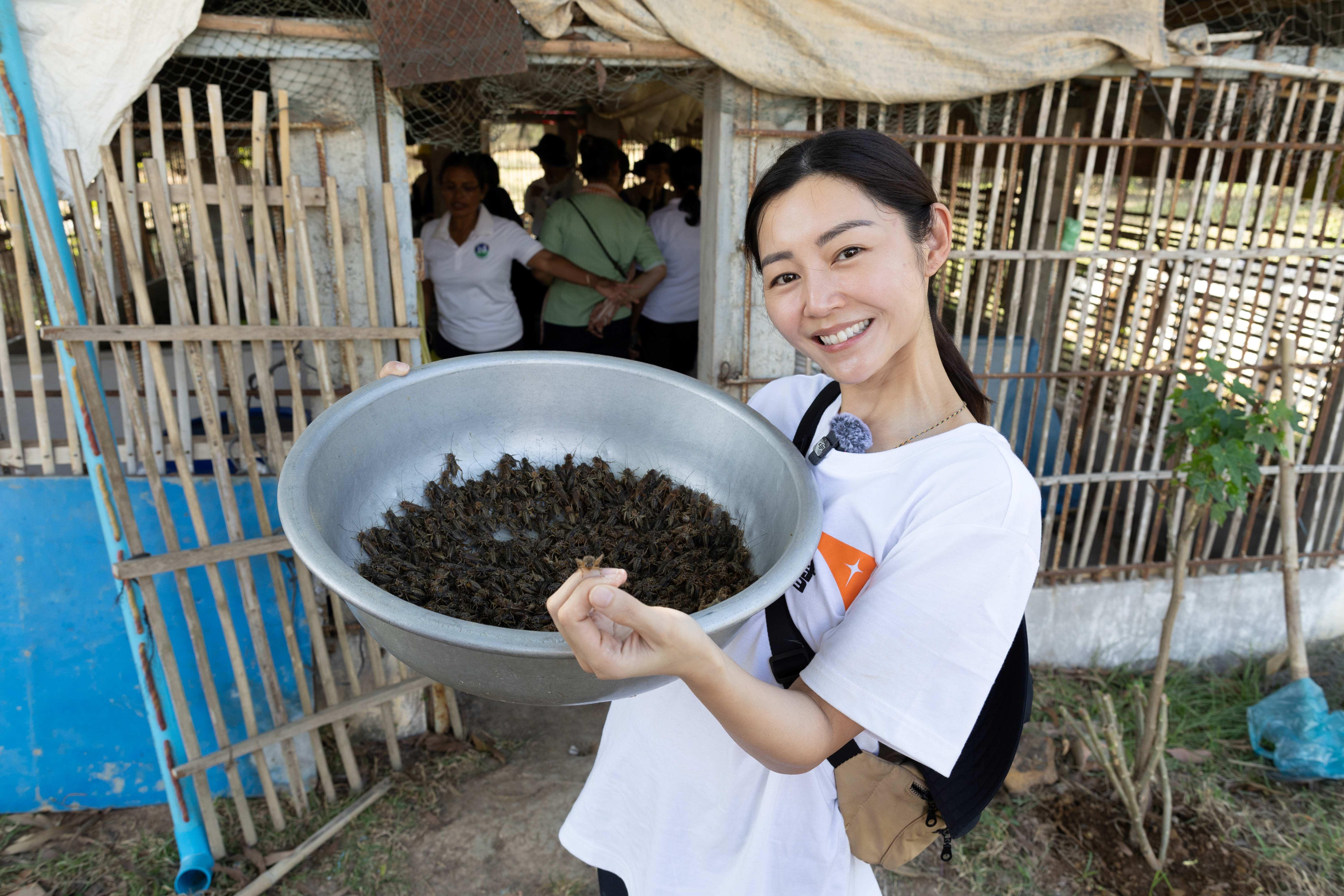 詩雅參觀柬埔寨農業合作社的蟋蟀養殖場,體驗當地工作。