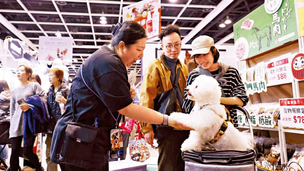 香港寵物節
