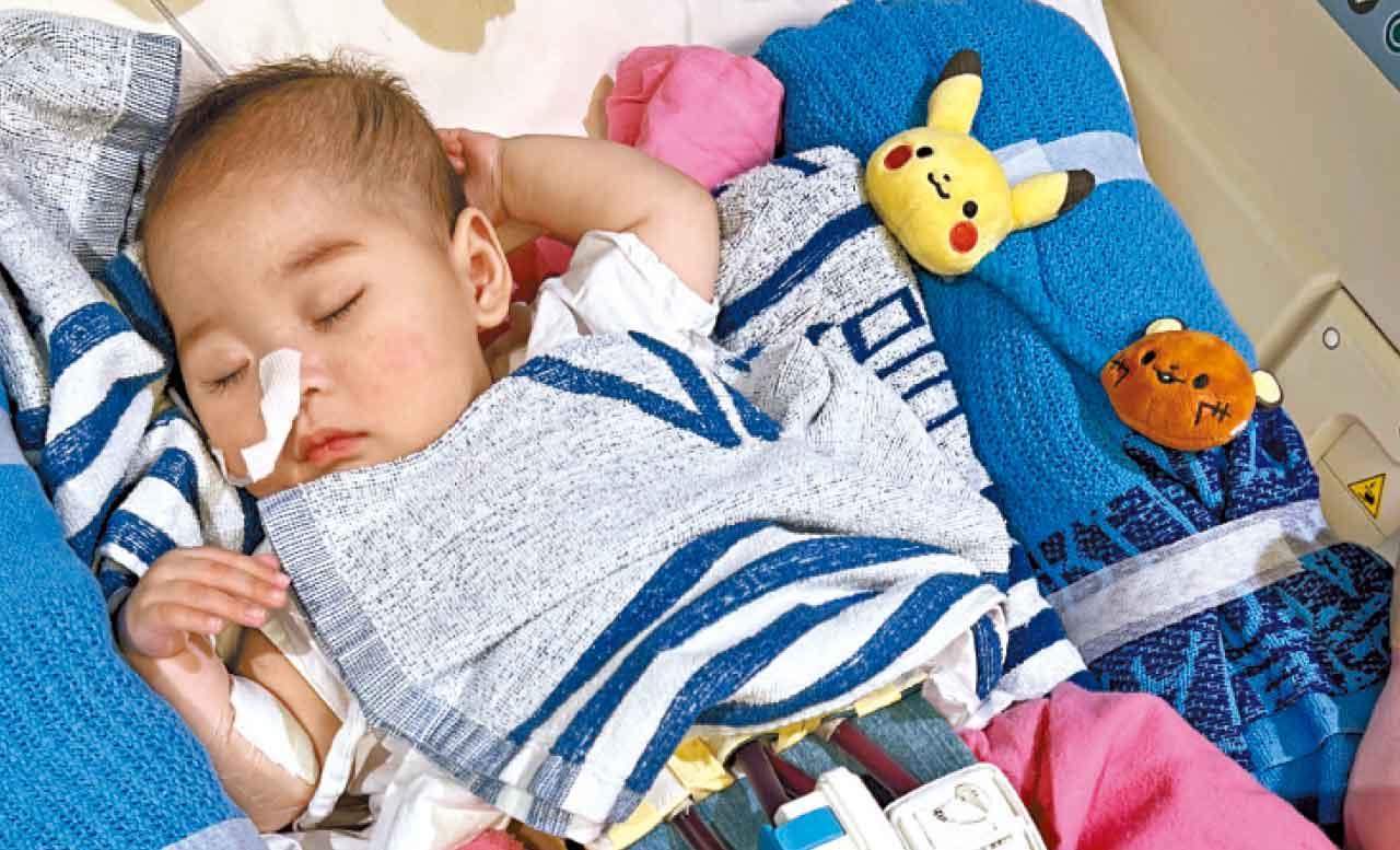 女嬰祈祈心臟移植