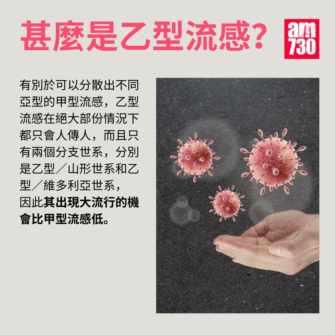 乙型流感是甚麼|大流行機會比甲型流感低(am730製圖)