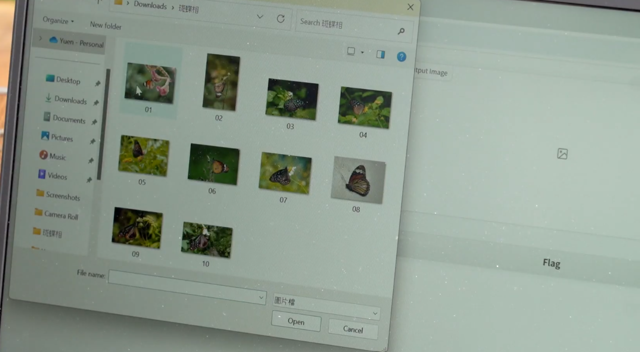 政府新聞網影片截圖。