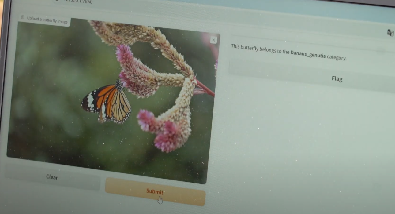 政府新聞網影片截圖。