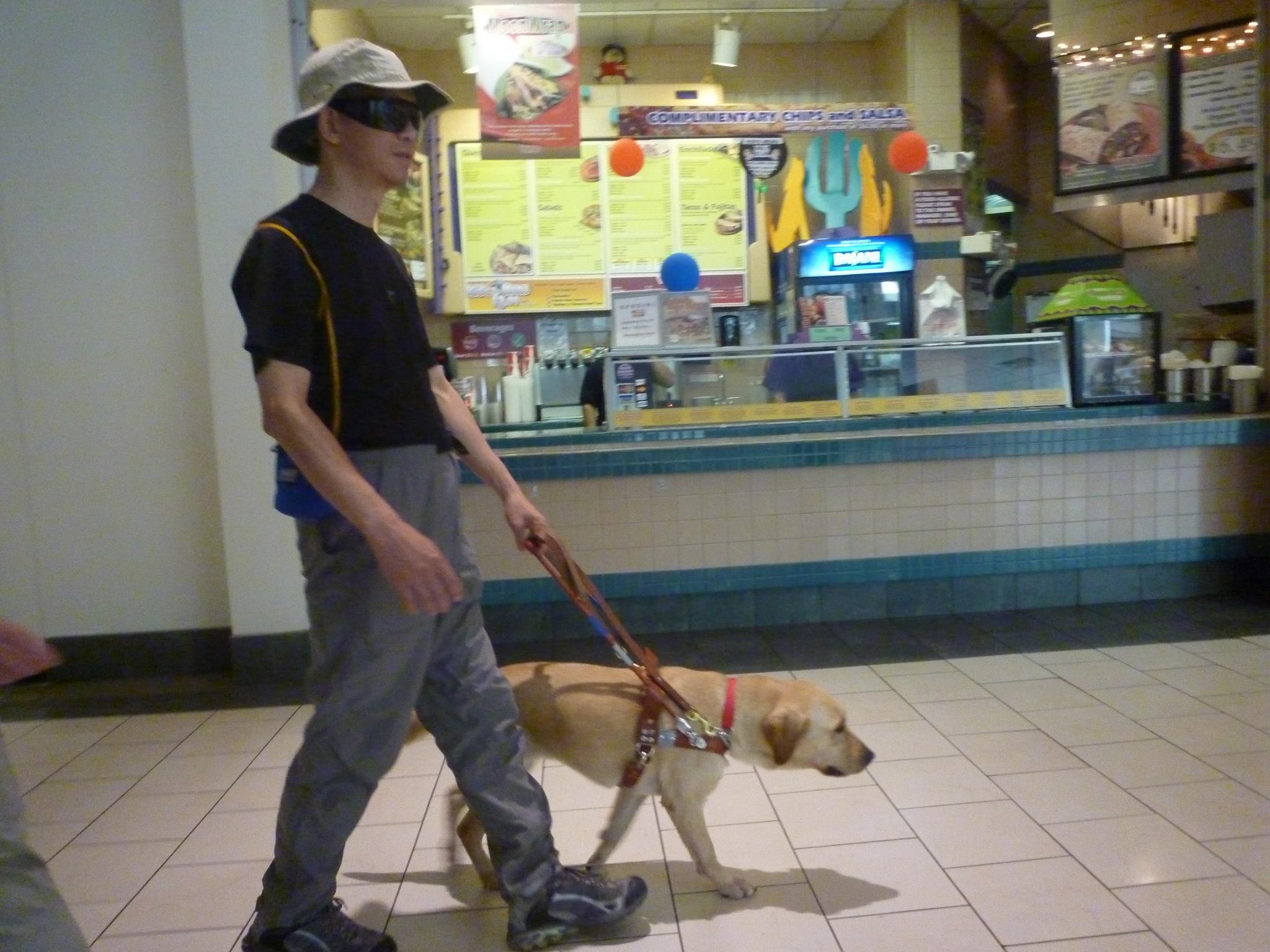 全港首隻獲國際認可導盲犬Deanna離世。(fb「Deanna Guidedog 導盲犬」圖片)