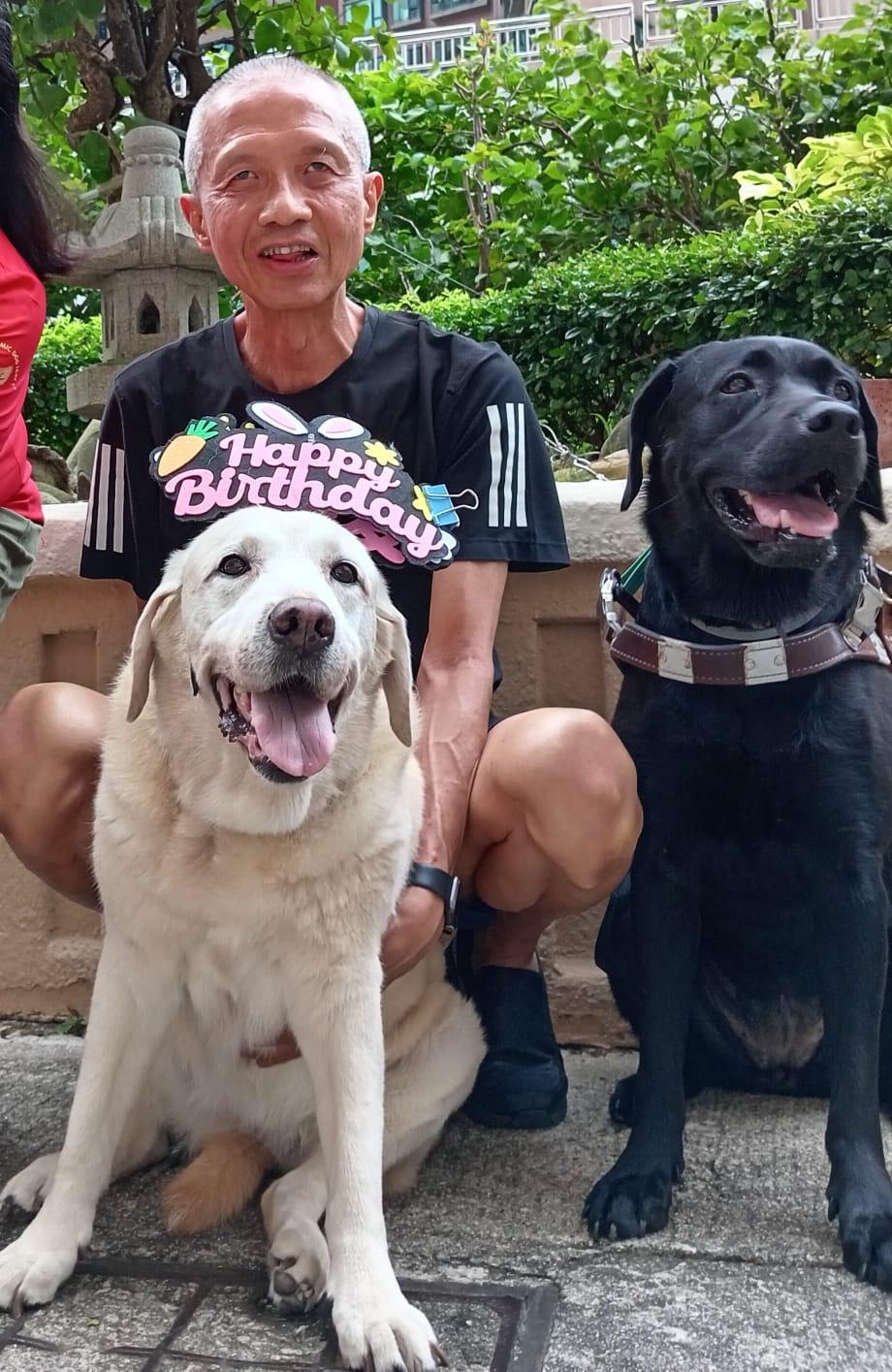 去年「爸爸」曾建平與朋友為導盲犬Deanna慶祝14歲生日。(fb「Deanna Guidedog 導盲犬」圖片)