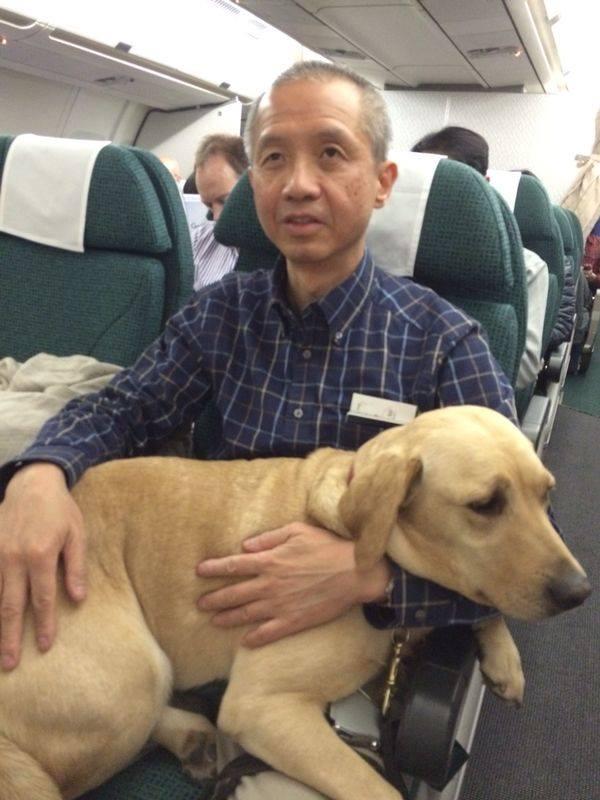 導盲犬Deanna與「爸爸」搭飛機。(fb「Deanna Guidedog 導盲犬」圖片)
