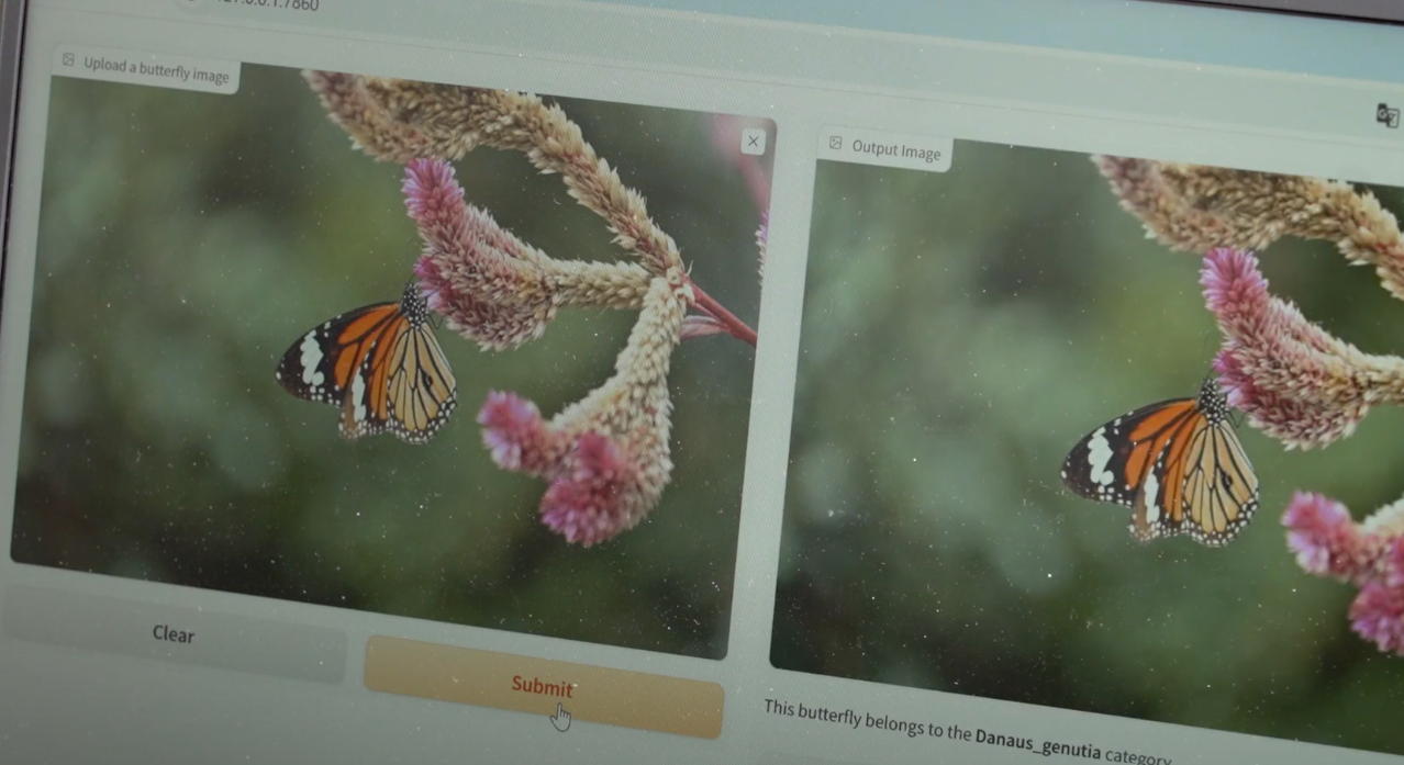 政府新聞網影片截圖。