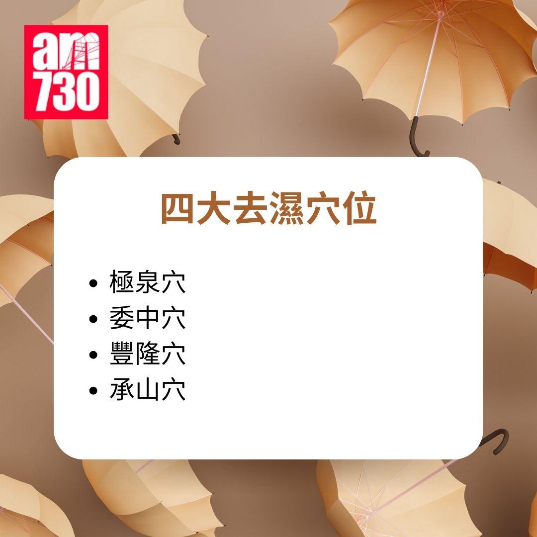 去濕全攻略|四大去濕穴位