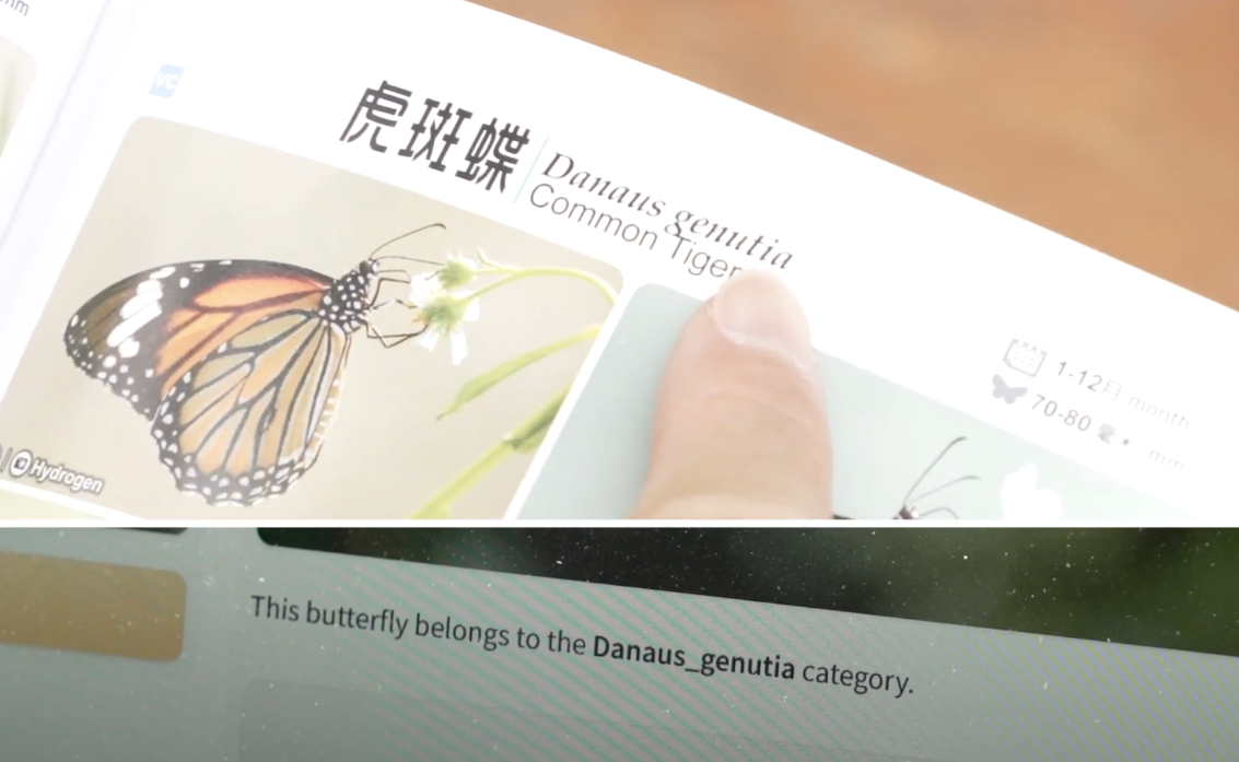 政府新聞網影片截圖。