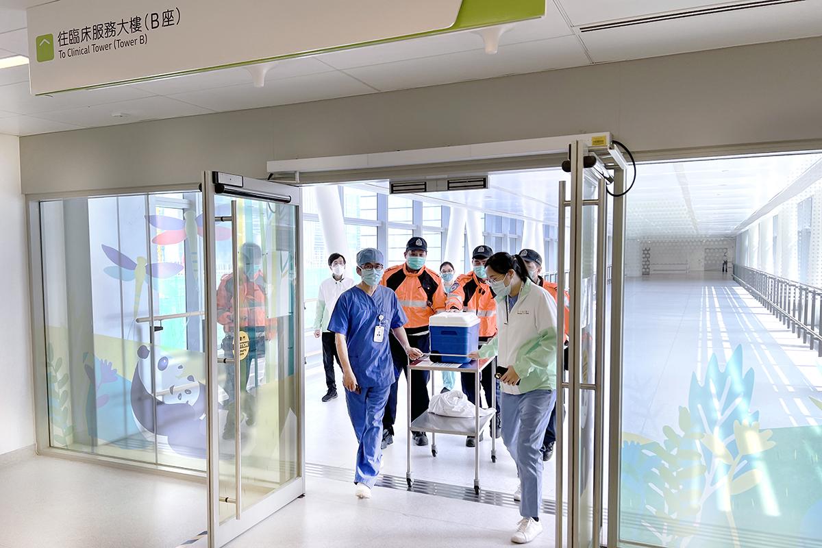 合適的心臟花了兩個多小時,成功從內地運抵香港兒童醫院。(香港兒童醫院提供)