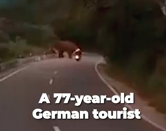 德國遊客駕駛電單車,不理勸告向大象方向前進。(影片截圖)