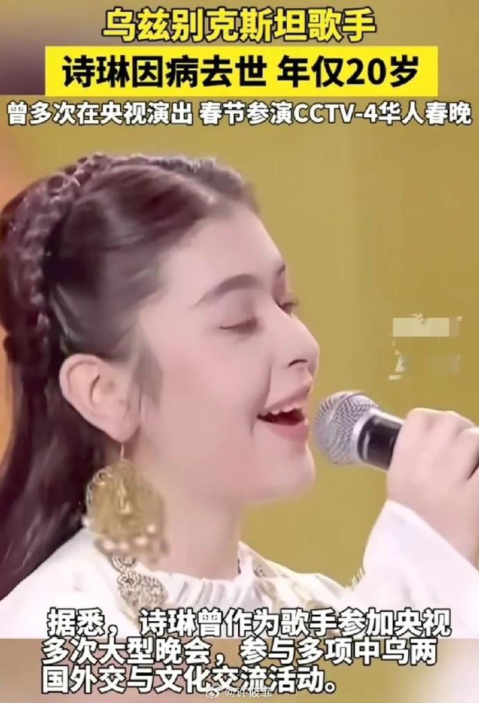 詩琳積極參與中烏的外交與文化交流,是兩國的交流大使。