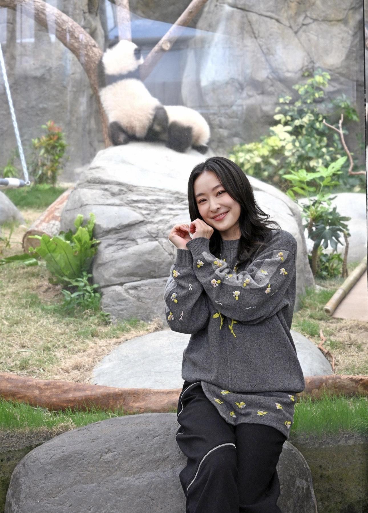 陳瀅就想成為大熊貓護理員。