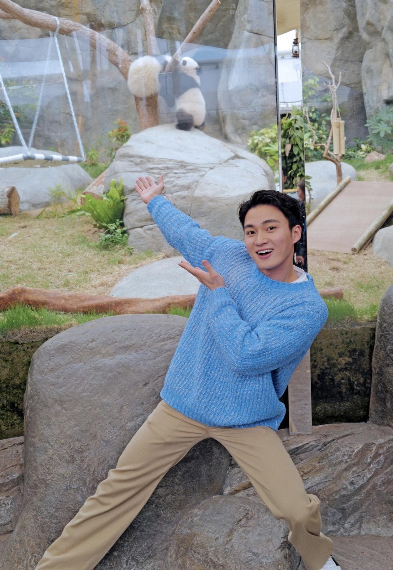 周嘉洛大讚大熊貓BB好活潑,見到他們有一種好自癒的感覺。