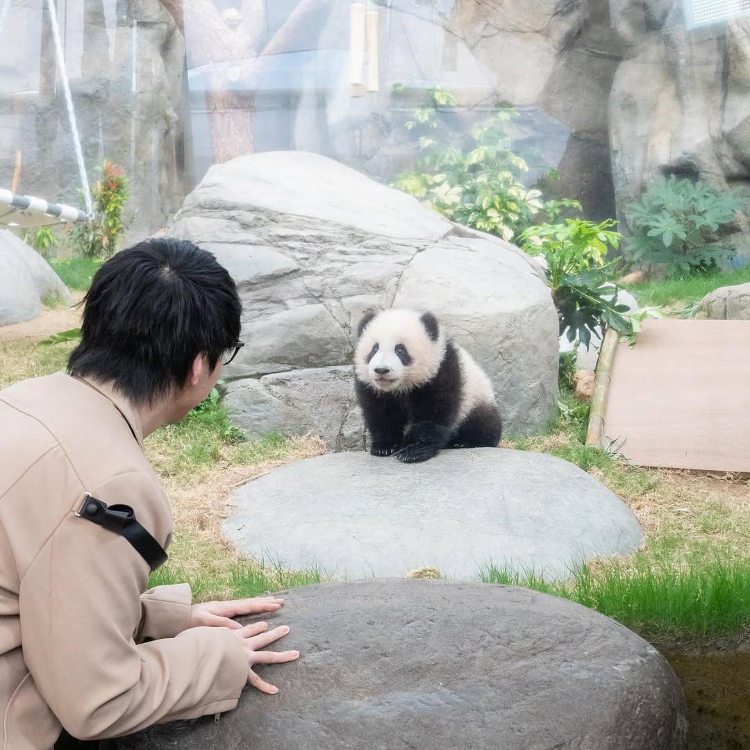 陳卓賢Ian與「家姐」對望一眼,沾沾自喜。