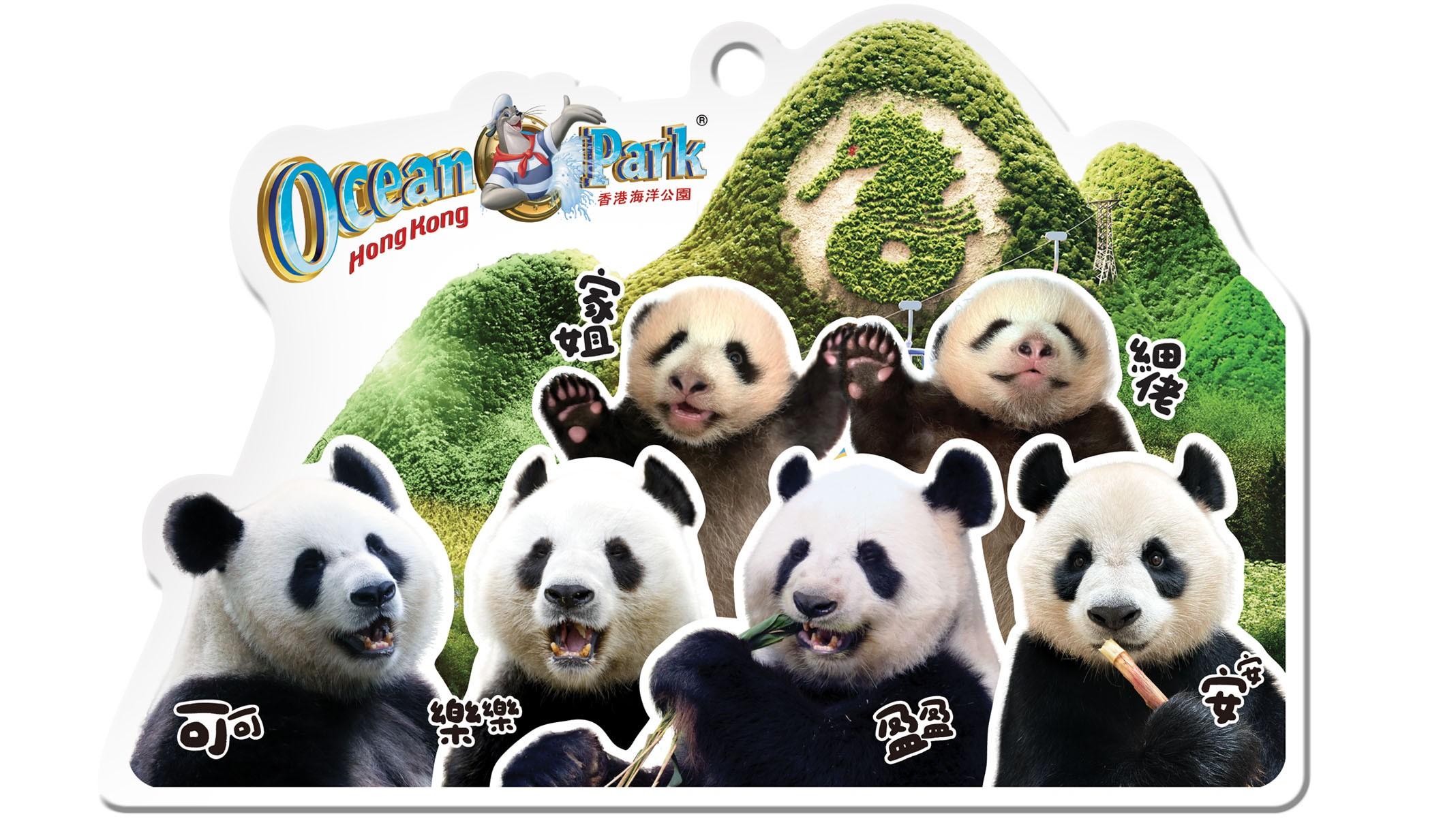 小童版大熊貓珍藏版八達通