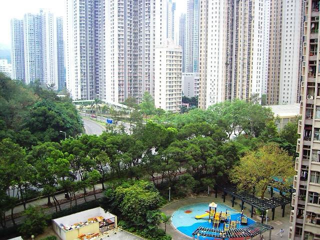 單位望向鄰近公園,景觀開揚翠綠。(代理提供)