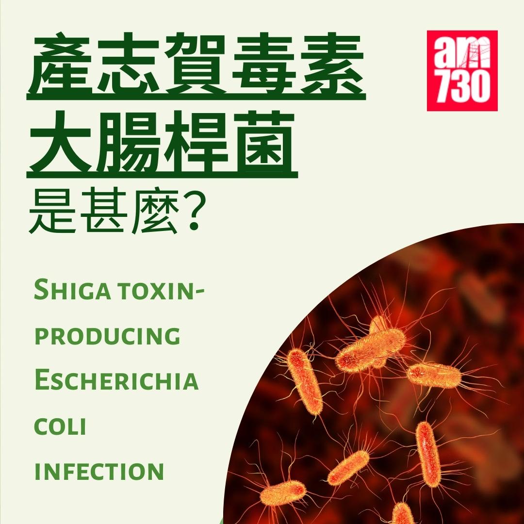 產志賀毒素大腸桿菌是甚麼?(am730製圖)